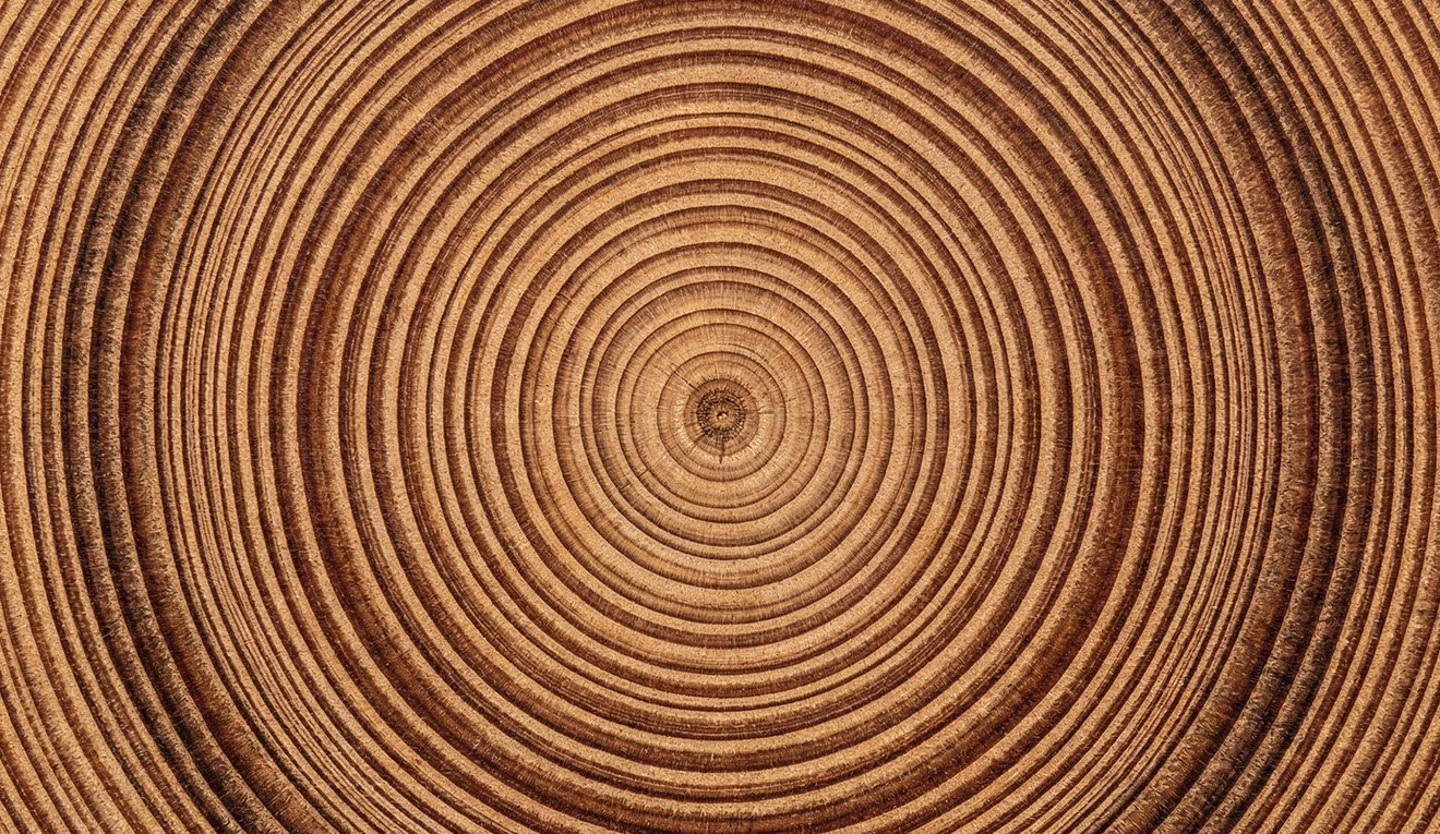 why-are-circles-everywhere